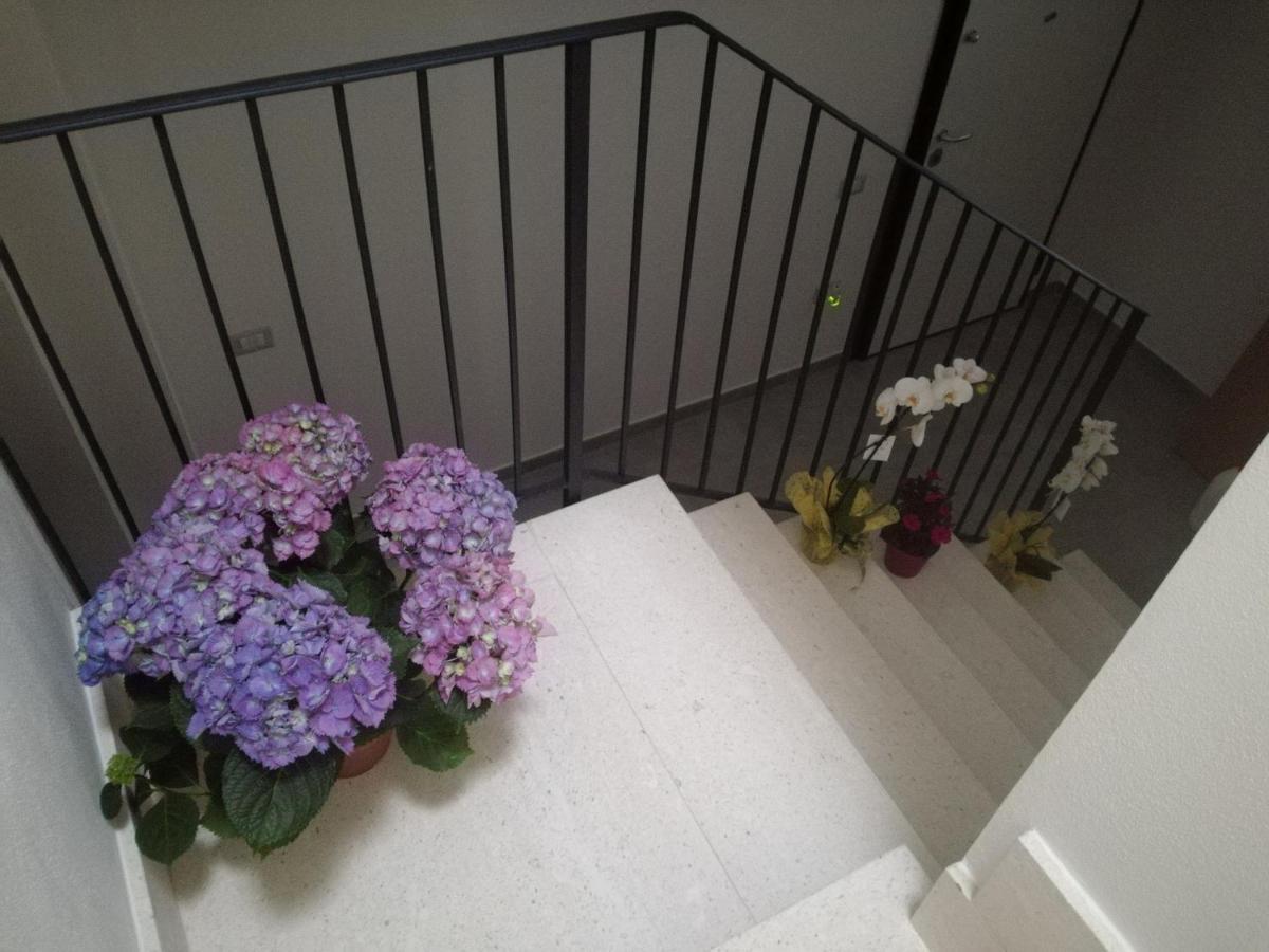 Adagiostay Elmas Exteriör bild